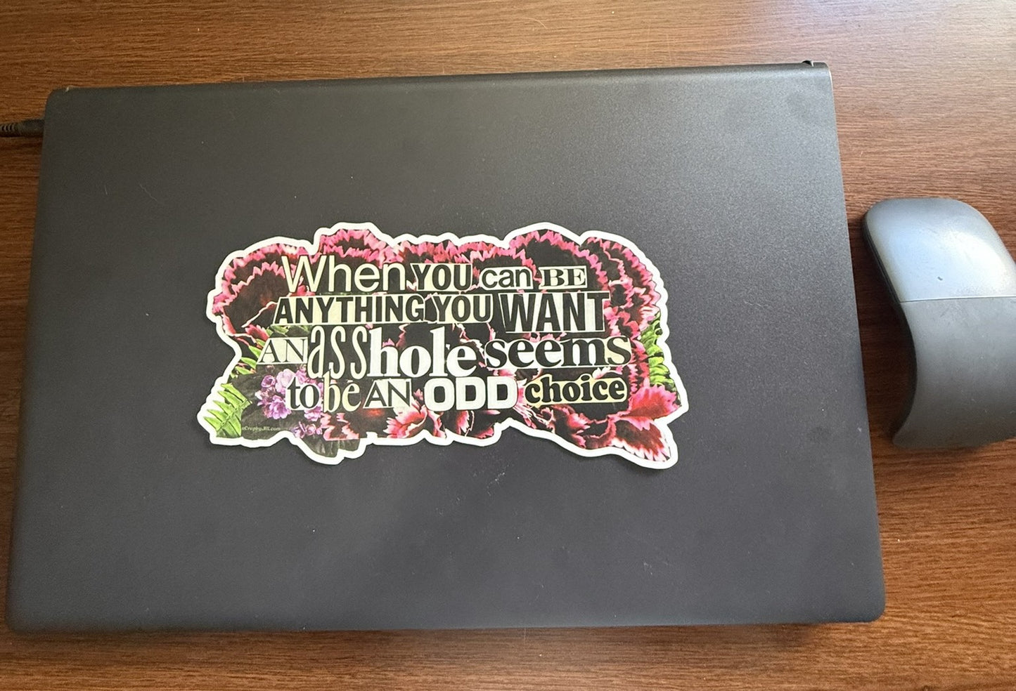 Giant "Asshole" Attitude Adjustment Sticker - 8.1" x 4.02"