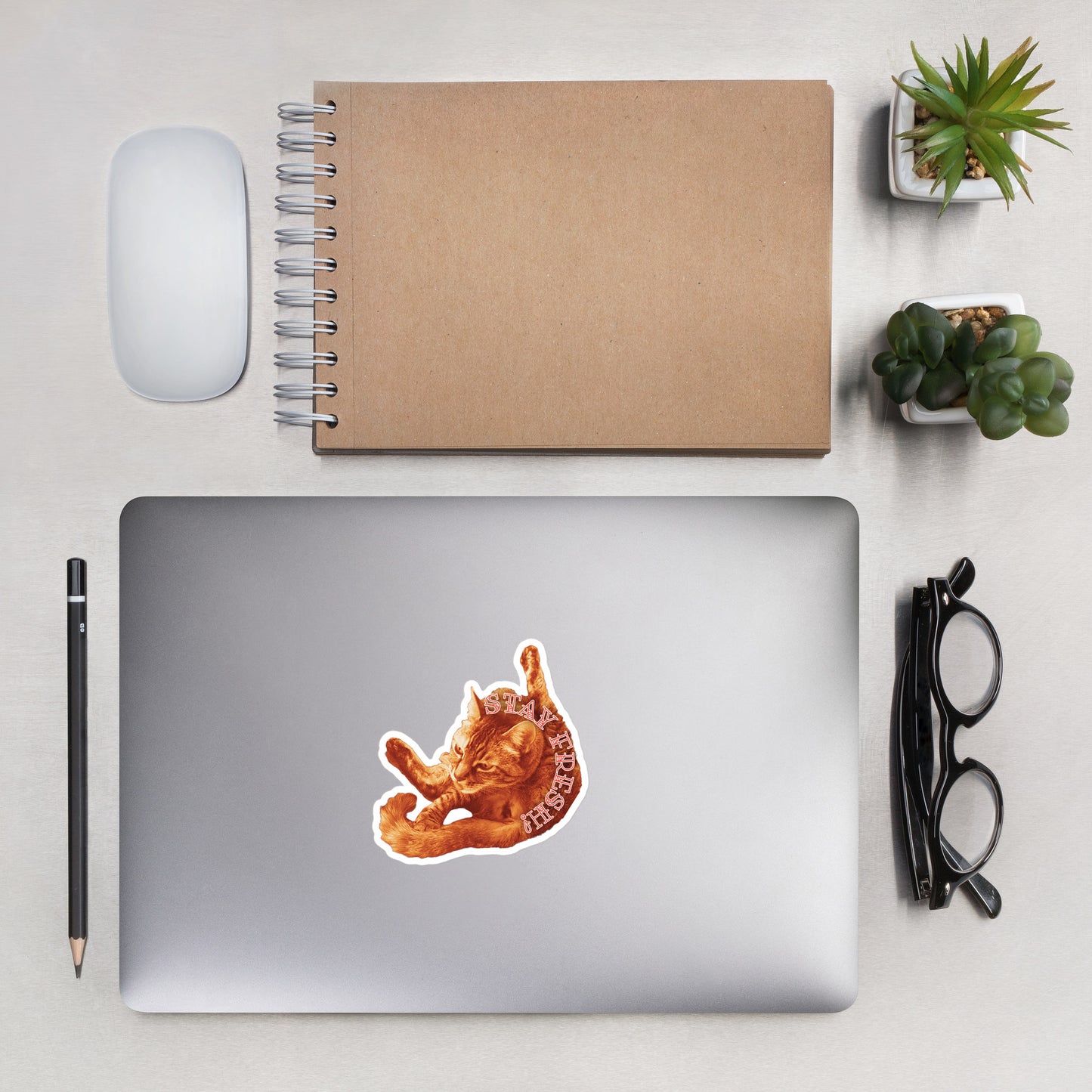 *NEW RELEASE* Silly Catniss "Stay Fresh" Bubble-Free Sticker