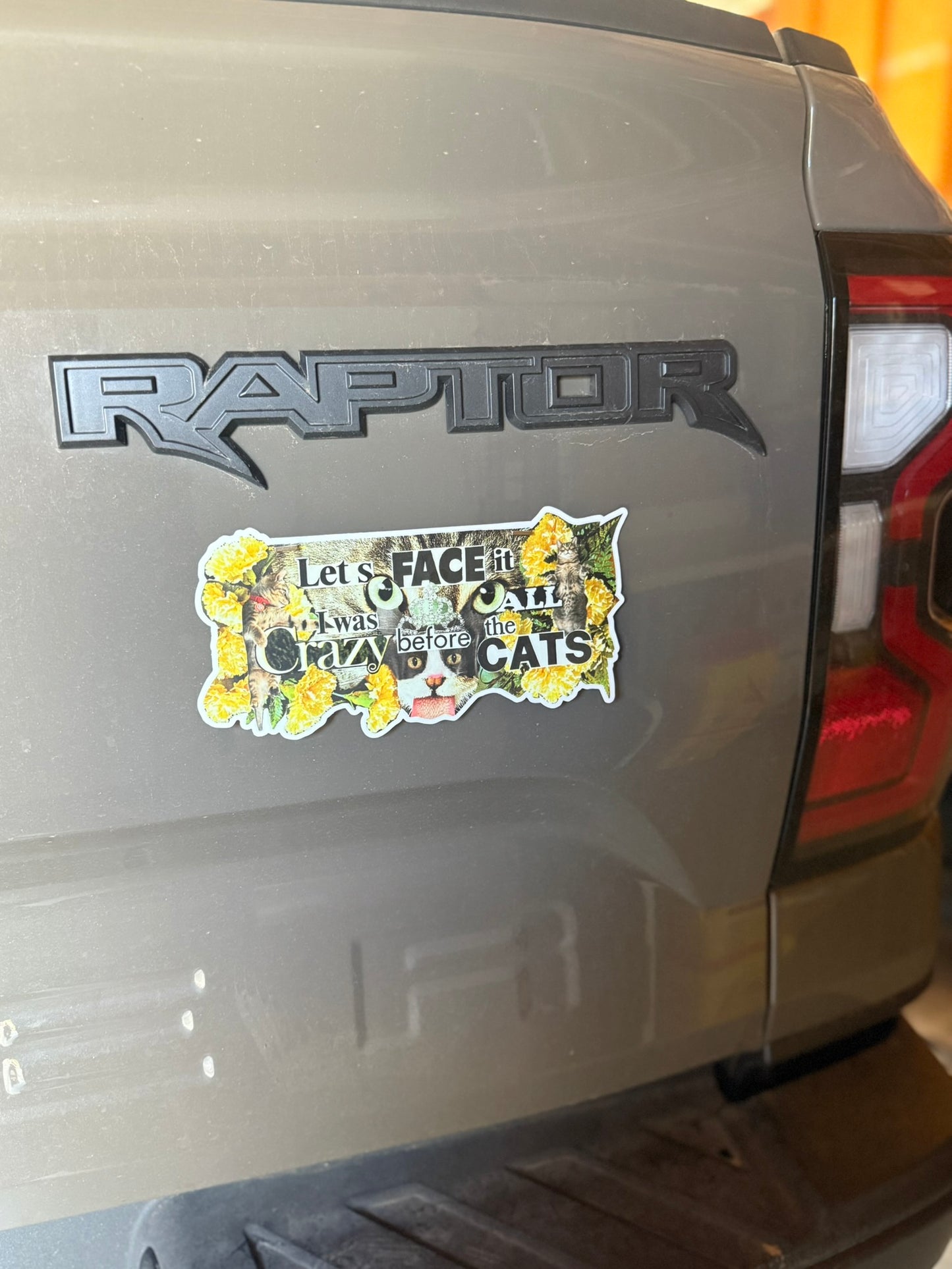 The "Crazy Cat Lady" Declaration Sticker - 8.1" x 4.11"