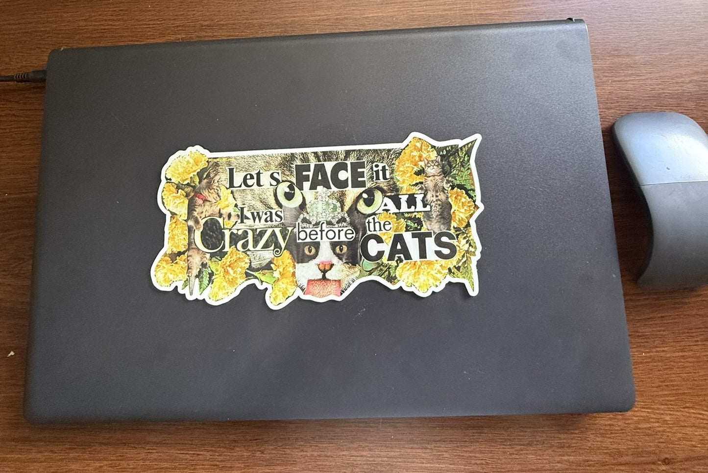 The "Crazy Cat Lady" Declaration Sticker - 8.1" x 4.11"