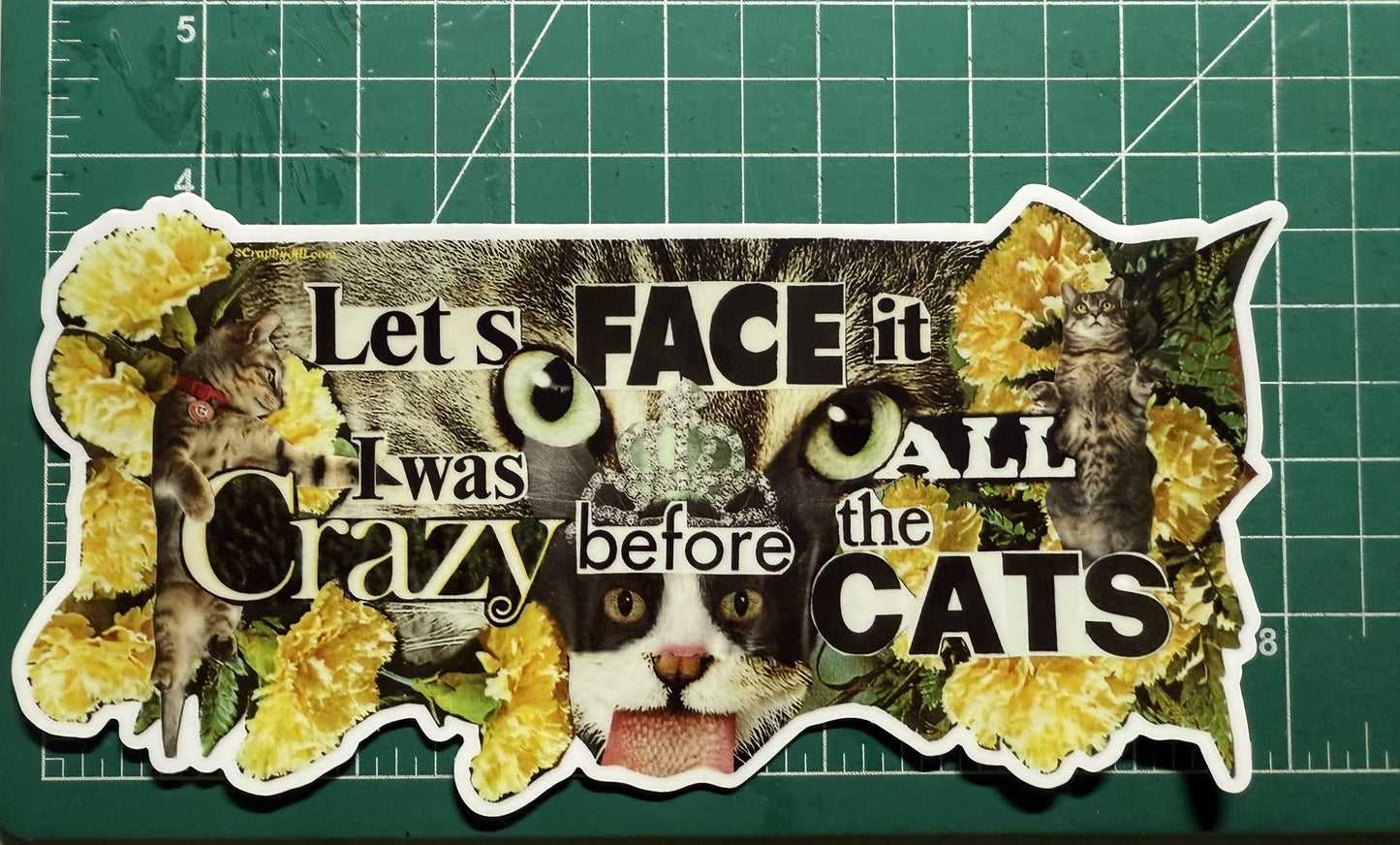 The "Crazy Cat Lady" Declaration Sticker - 8.1" x 4.11"
