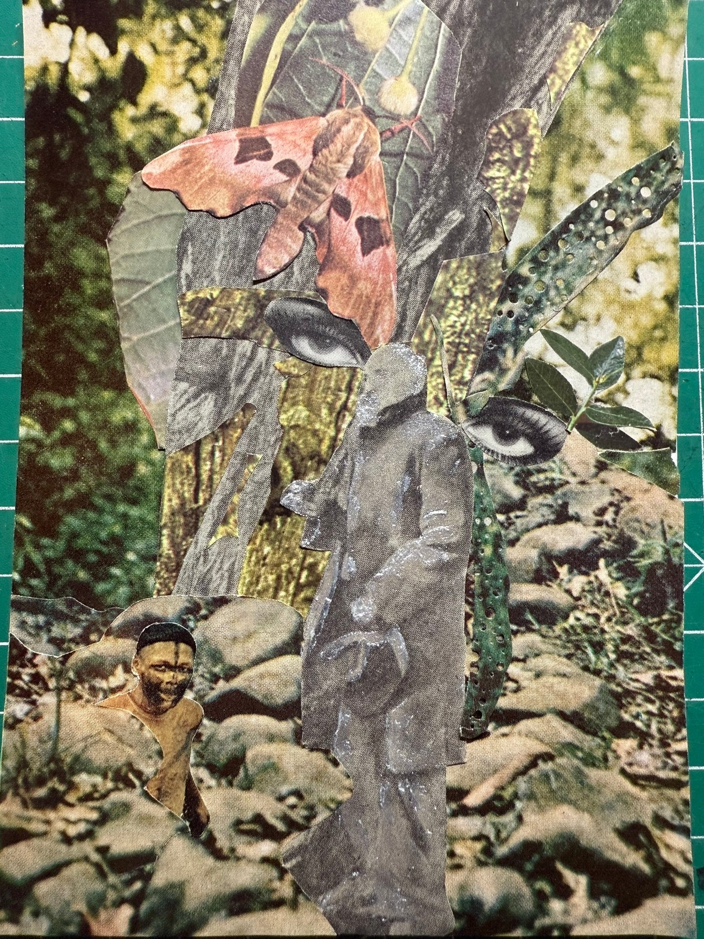 Forest Eyes | Original Mixed Media Collage