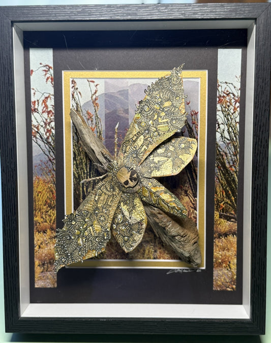Death's-Head Hawkmoth | Original 3D Shadow Box Recycled Mixed Media | One of a Kind