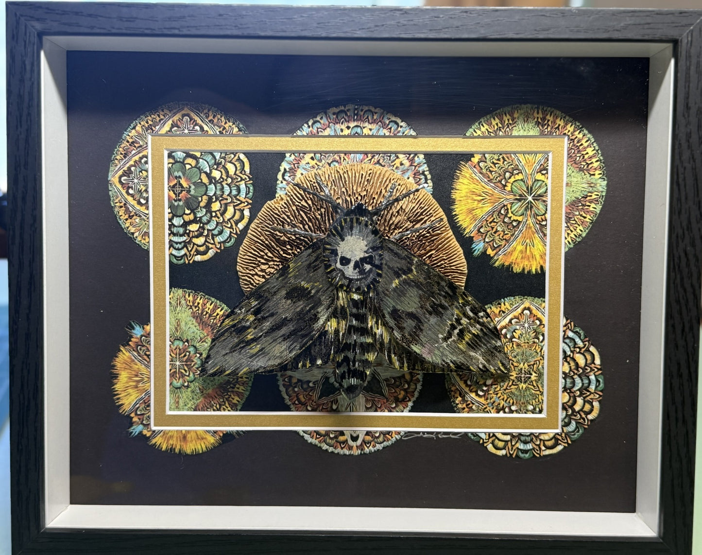 Death's-Head Hawkmoth at Rest| Original Shadow Recycled Mixed Media Art