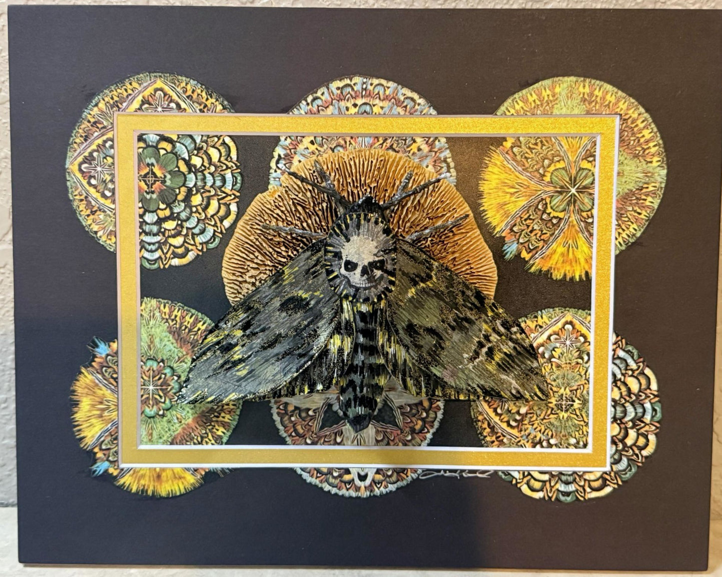 Death's-Head Hawkmoth at Rest| Original Shadow Recycled Mixed Media Art