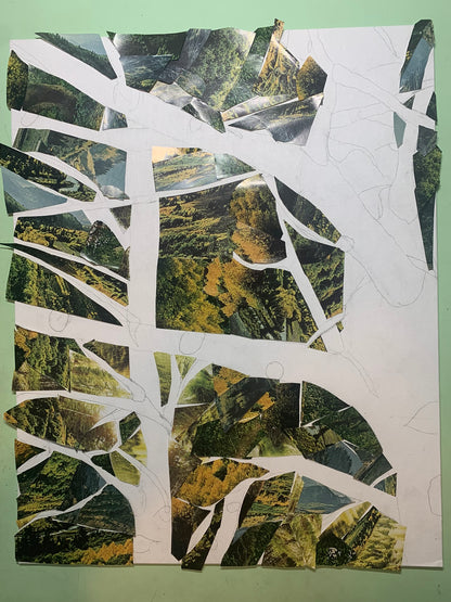 "Mueller's Aspens" - Colorado's Canopy with a Twist (PRINTS COMING SOON)