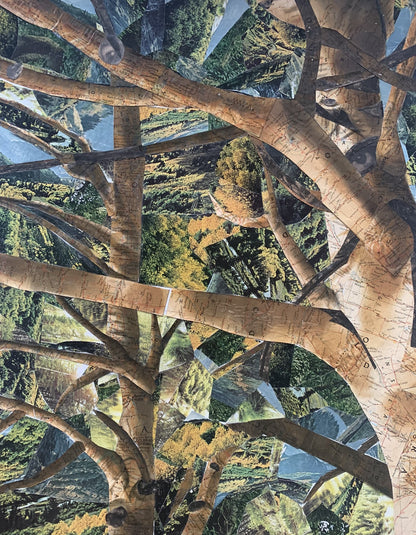 "Mueller's Aspens" - Colorado's Canopy with a Twist (PRINTS COMING SOON)