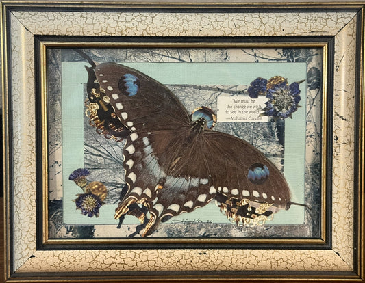 Winter Butterfly | Original Mixed Media Collage