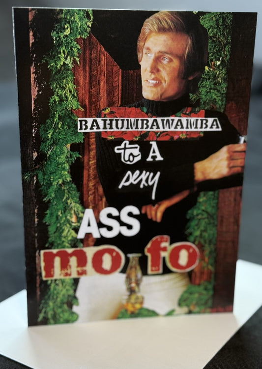 "Pretty Fly for a NOT a Holiday Guy"